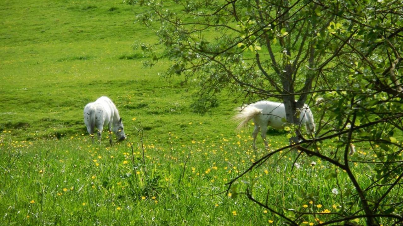 Willa Appaloosa Lormes Zewnętrze zdjęcie
