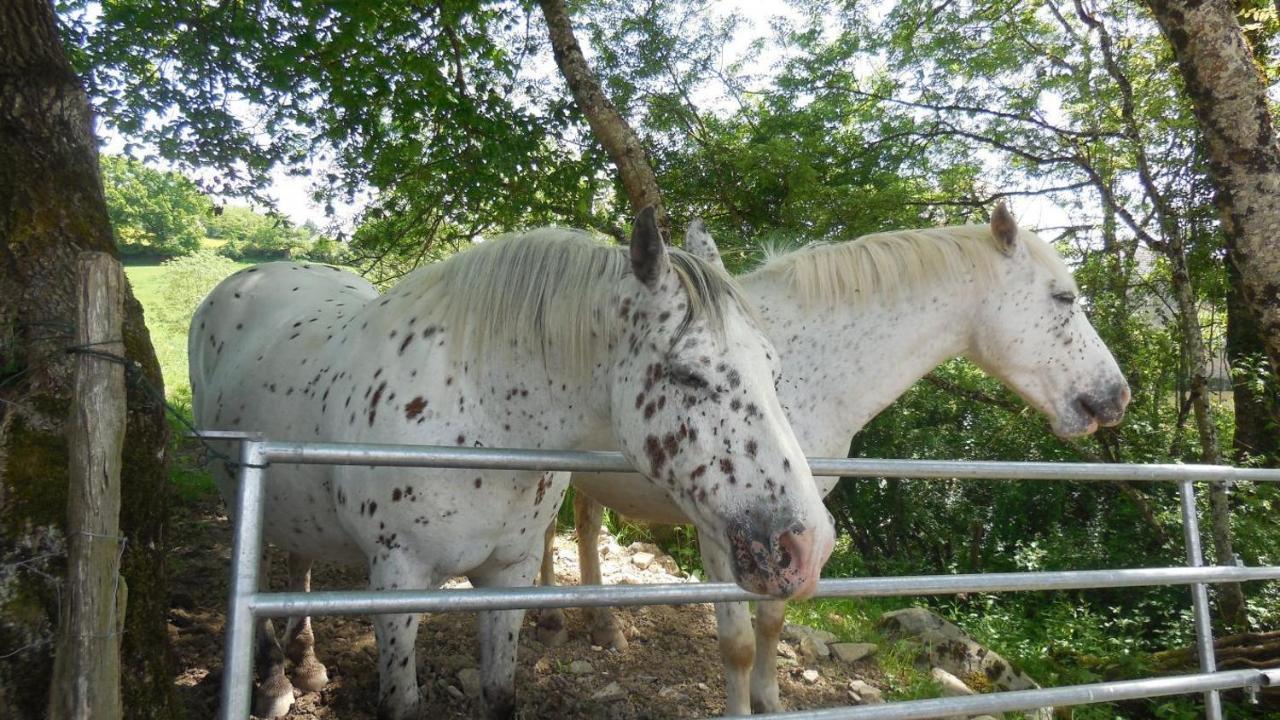 Willa Appaloosa Lormes Zewnętrze zdjęcie
